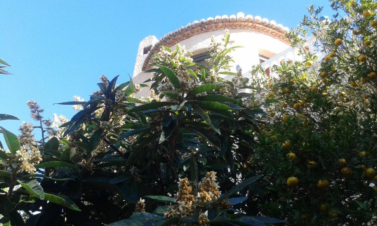 Villa Maria 阿尔姆尼卡 外观 照片